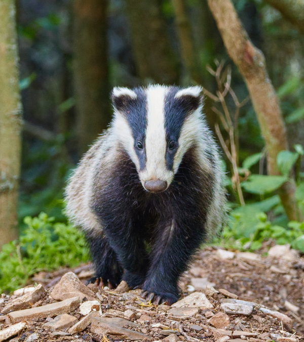 obr.-14.jpg obr.-14.jpg