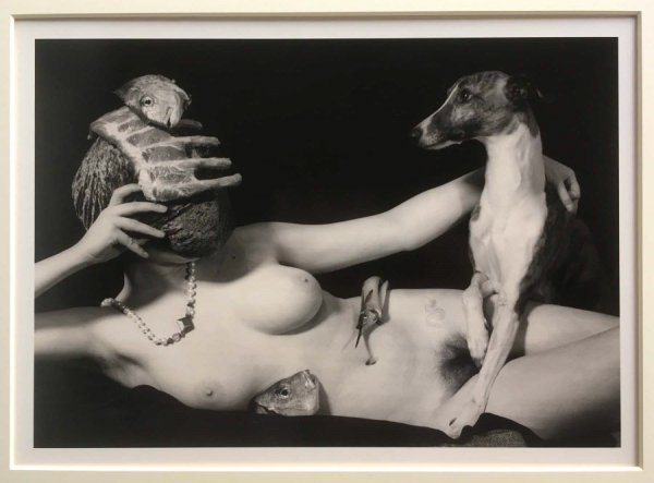 joel-peter-witkin-images-2010-20201-59.jpg