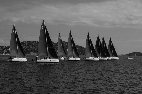regatta-2.jpg