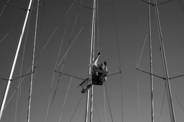 regatta-4.jpg