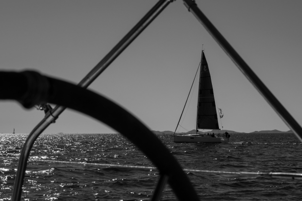 regatta-6.jpg
