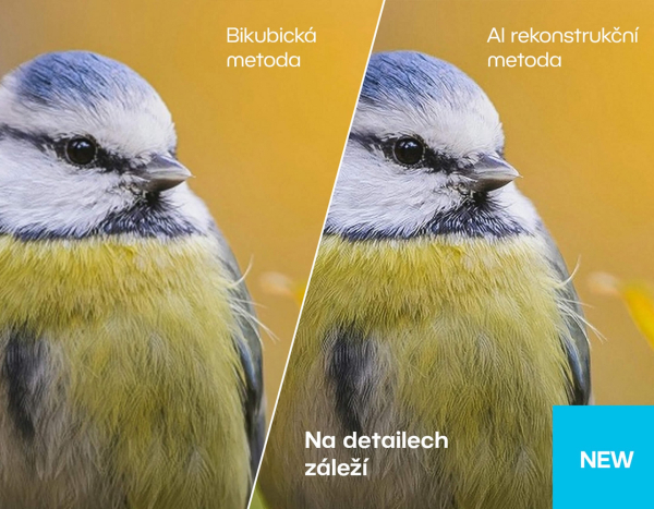ai-zvetseni-rozmeru.jpg