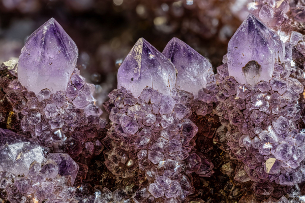 makrodychanek-mineraly-ametyst-namibie-muzeum-dinosauru-petr-jan-juracka2-16871814372407.jpg