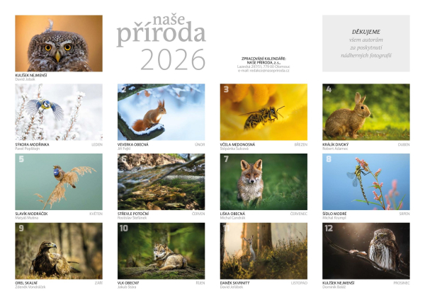 a3-kalendar-2026-page-002-(1).jpg