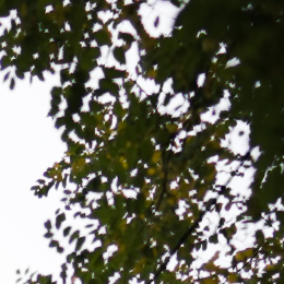 potlaceni-lemu-po.jpg