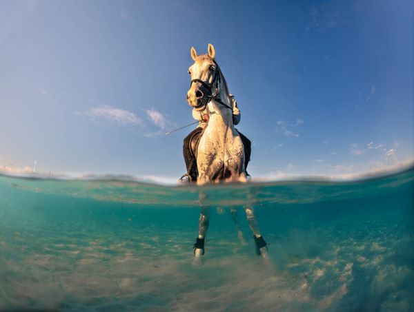 ©-doğa-ergun,-turkiye,-shortlist,-youth-competition,-sony-world-photography-awards-2026.jpg