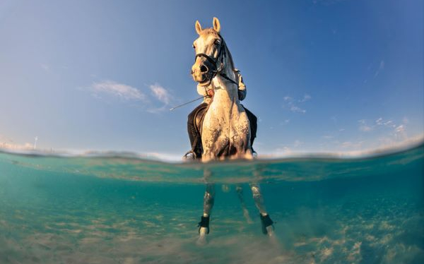 © Doğa Ergün, Türkiye, Shortlist, Youth Competition, Sony World Photography Awards 2026