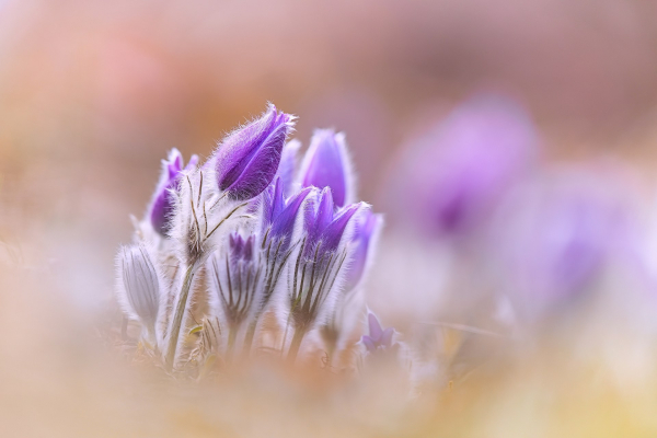 9k0a6898-final-fotovideo.jpg