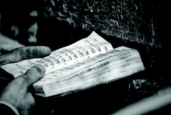 5425-2012-izrael-huji.jpg