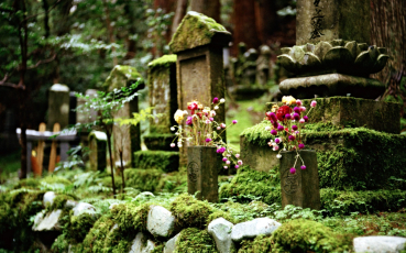 film-35-(2).jpg