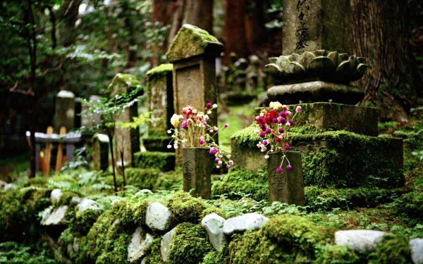 film-35-(2).jpg