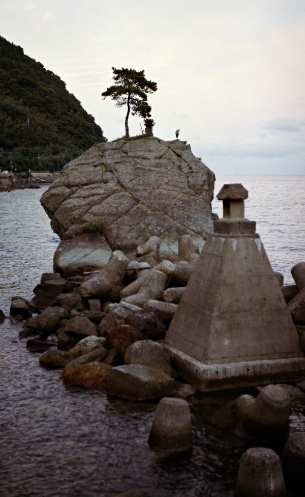 film-36-(3).jpg