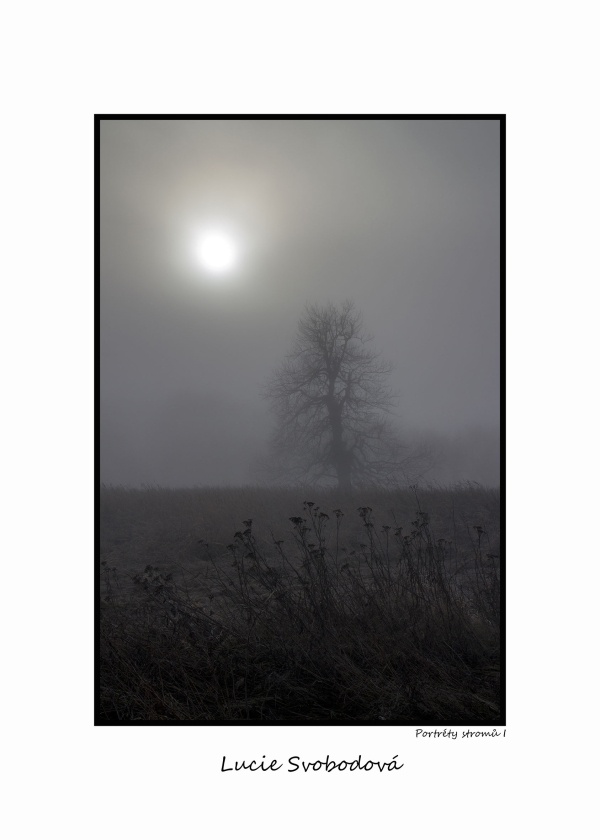 ls01m.jpg
