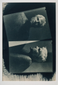 ks1-6382.jpg