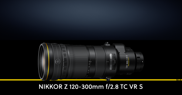 NIKKOR Z 120-300MM F/2.8 TC VR S