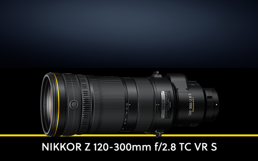 NIKKOR Z 120-300MM F/2.8 TC VR S hl