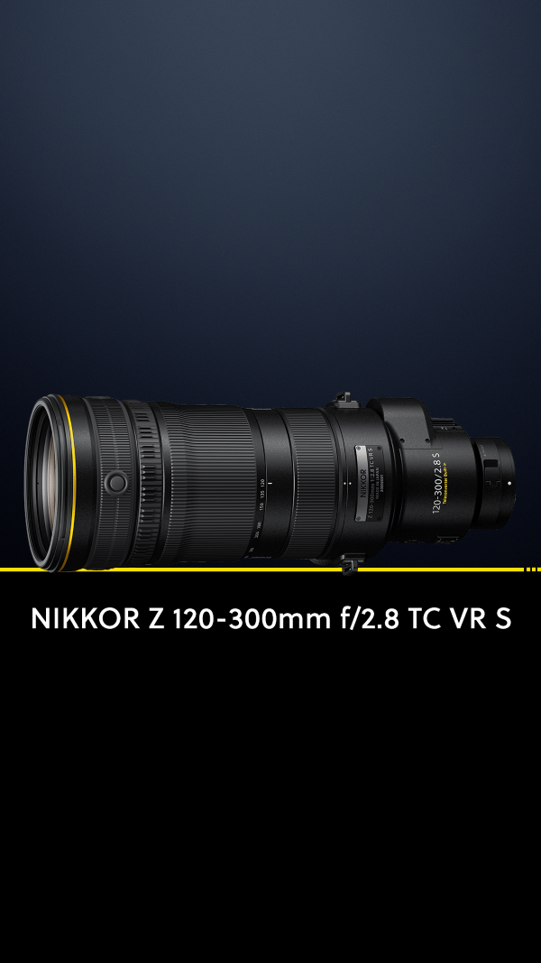 NIKKOR Z 120-300MM F/2.8 TC VR S