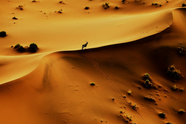 namibie-fotoexpedice-ali-greplova.jpg