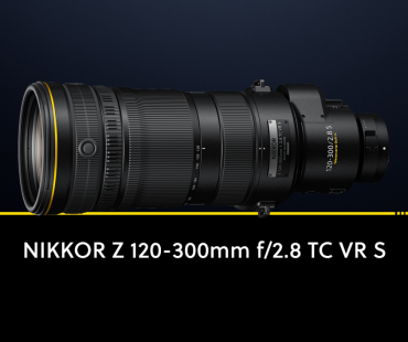 da-lens-story.png