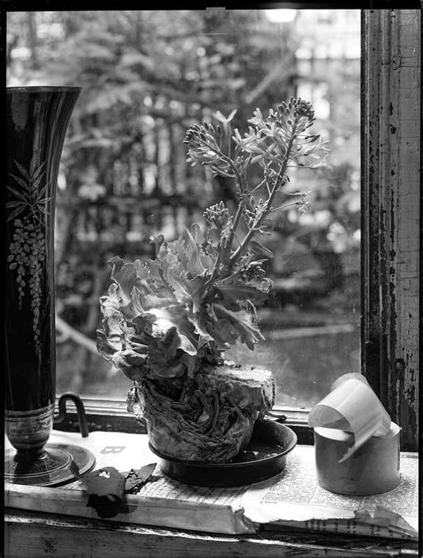 Výstava Josef Sudek v Kostelci nad Orlicí