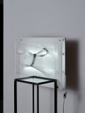 memory-of-touch-5.jpg