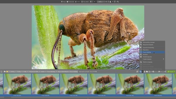focus-stacking.jpg